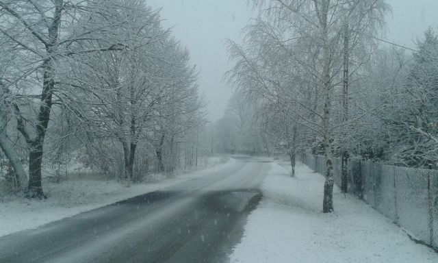 pierwszy śnieg 2016;-)