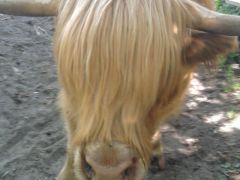 Fotka